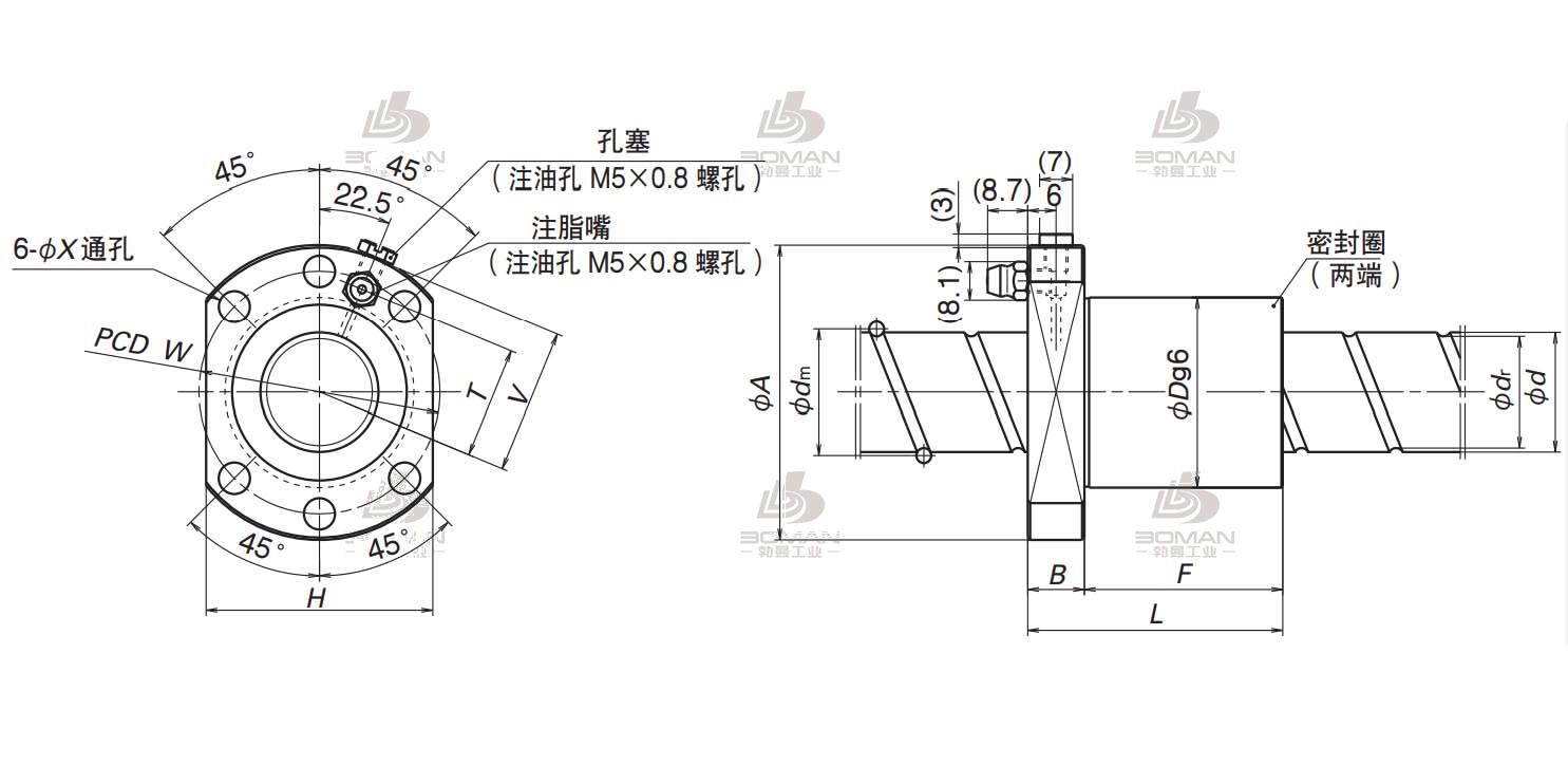 BSS2505-3E-BSS标准系列丝杠