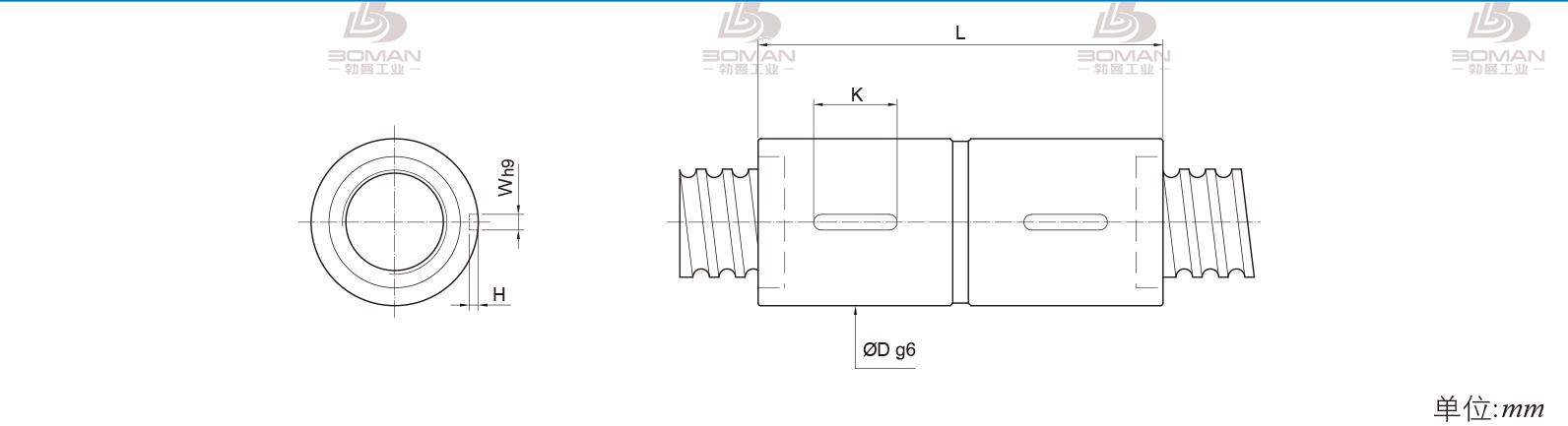 PMI RDIC6310-6 PMI丝杆精度